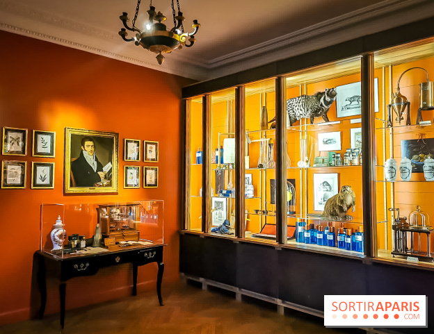 Le Musée du Parfum Fragonard : un trésor méconnu à deux pas du Palais Garnier