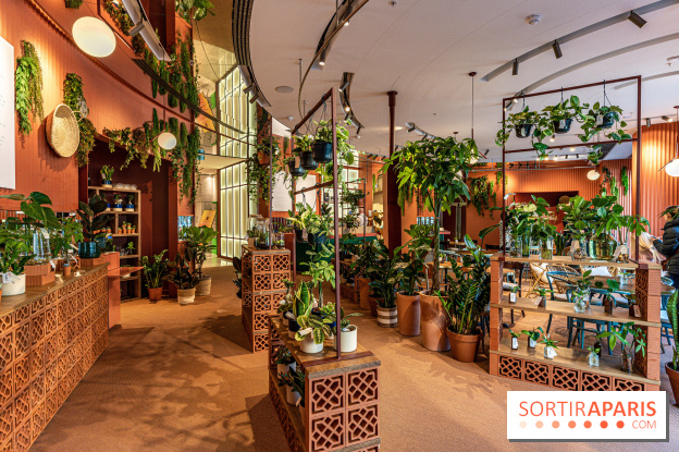 Le Café Vert du Printemps Haussmann 