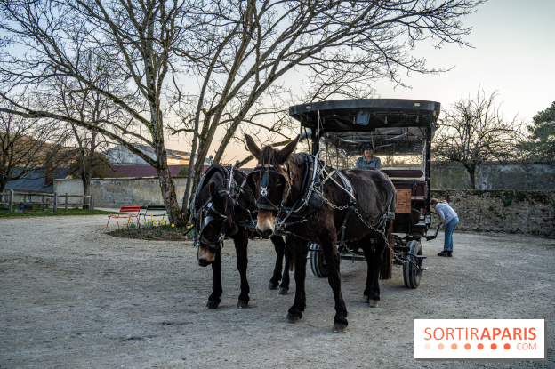 Le domaine du Chateau de Dampierre 