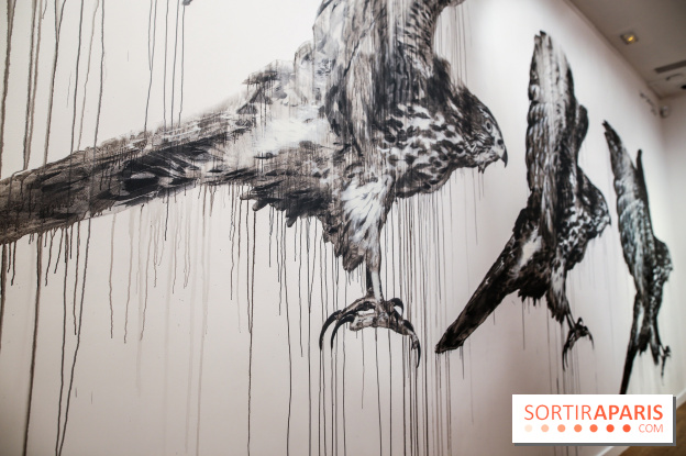 Incursions sauvages, nos photos