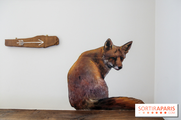 Incursions sauvages, nos photos