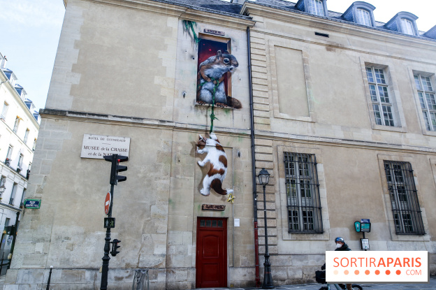 Incursions sauvages, nos photos