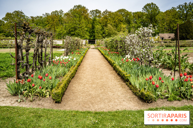 Le Château de Saint-Jean de Beauregard et son Jardin remarquable