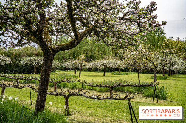 Le Château de Saint-Jean de Beauregard et son Jardin remarquable