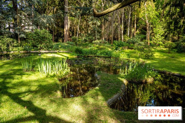 Les jardins du Musée Albert Kahn, nos photos 