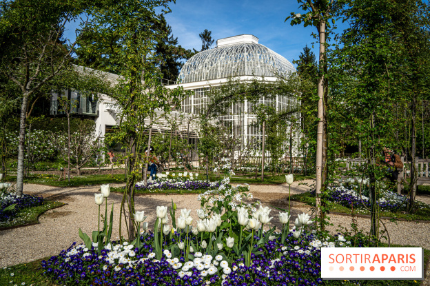 Les jardins du Musée Albert Kahn, nos photos 