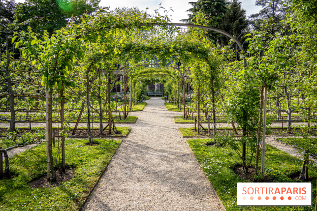 Les jardins du Musée Albert Kahn, nos photos 