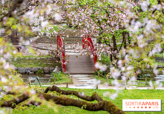 Les jardins du Musée Albert Kahn, nos photos  -  A7C8879 HDR