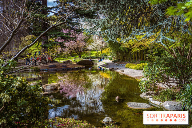 Les jardins du Musée Albert Kahn, nos photos