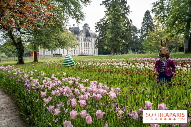 Photos : Château de Cheverny