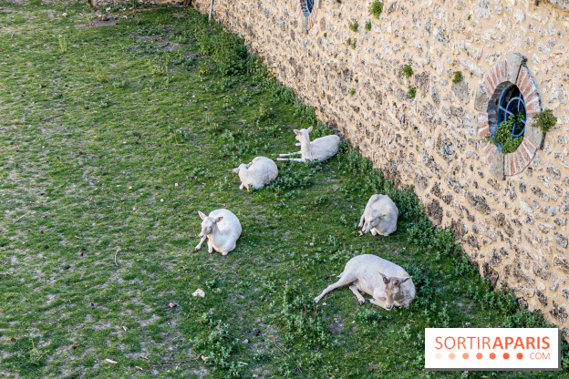 Le Château de Breteuil, ses jardins remarquables et contes de Perrault 