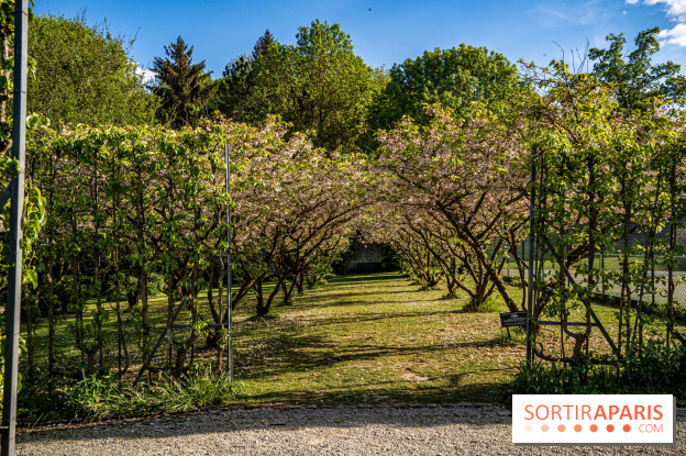 Le Château de Breteuil, ses jardins remarquables et contes de Perrault 