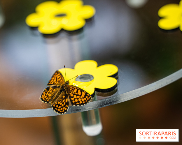 La Serre aux Papillons du Parc Floral