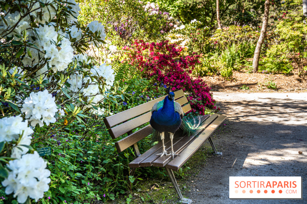 Le Parc Floral en photos 