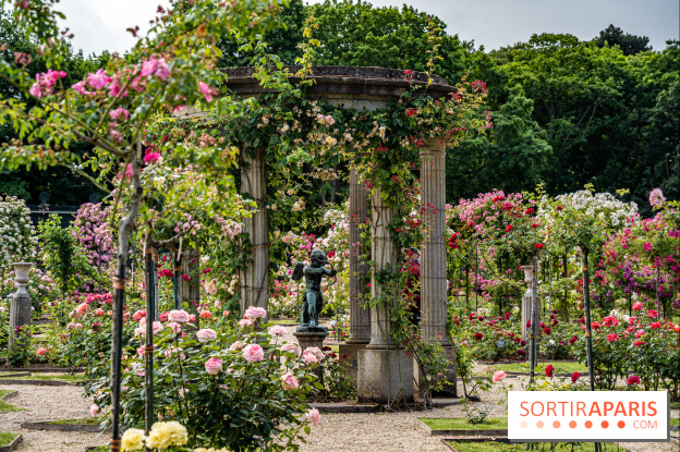 Photos : La Roseraie du val-de-Marne