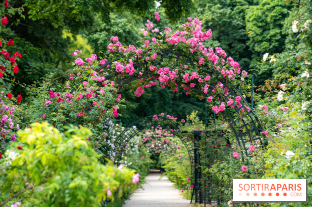 Photos : La Roseraie du val-de-Marne