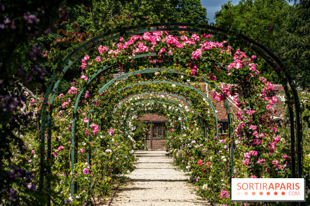 Photos : La Roseraie du val-de-Marne