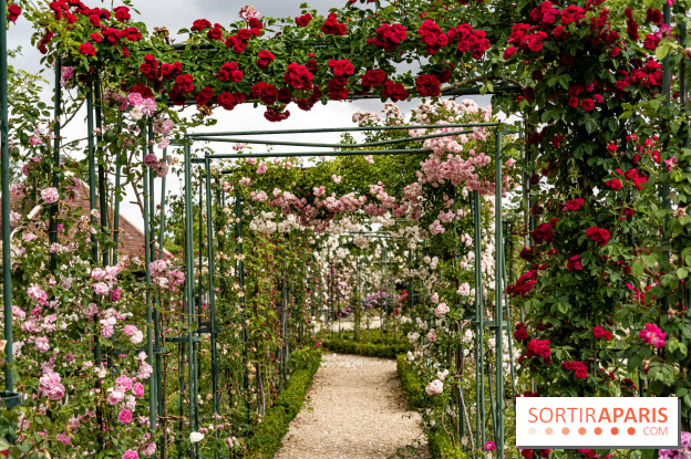 Photos : La Roseraie du val-de-Marne