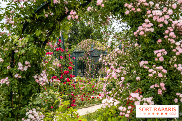 Photos : La Roseraie du val-de-Marne
