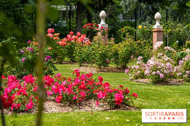 La Roseraie du Parc Lebaudy sur l'Ile de Puteaux