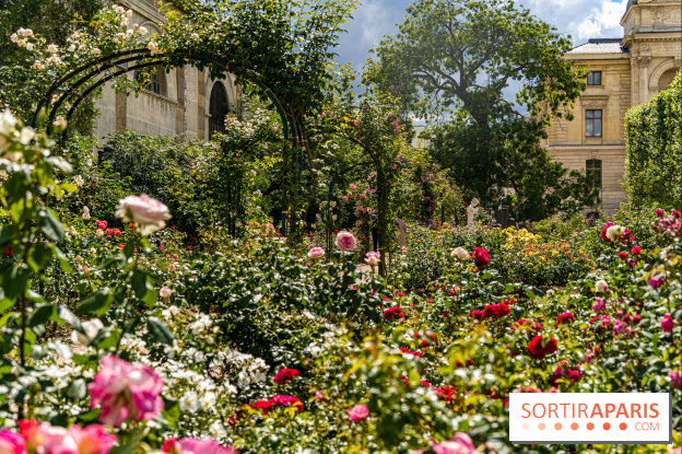 Photos La roseraie du Jardin des Plantes 