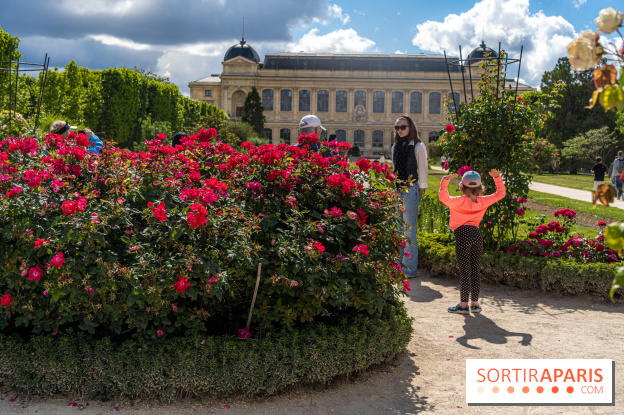 Photos La roseraie du Jardin des Plantes 