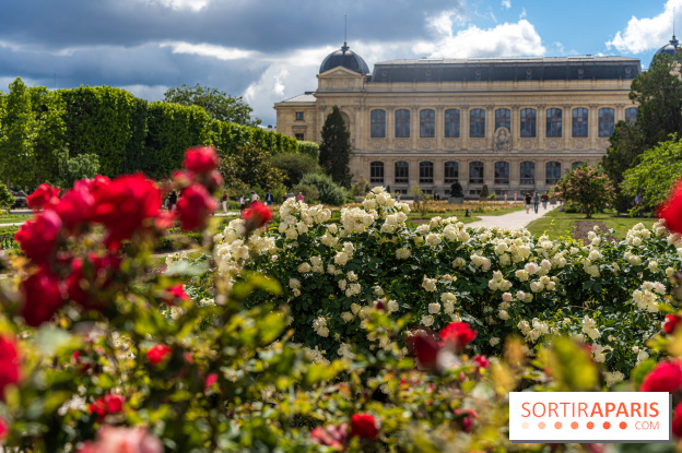 Photos La roseraie du Jardin des Plantes 