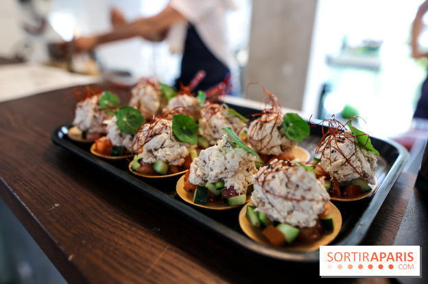 HOBA à Paris, nos photos