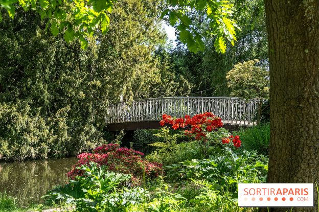 Arboretum de la Vallée-aux-Loups, une balade au milieu des arbres remarquables - A7C07780
