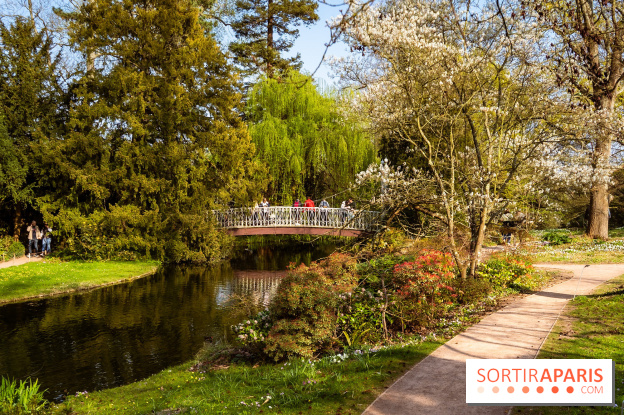 Arboretum de la Vallée-aux-Loups, une balade au milieu des arbres remarquables - A7C09395
