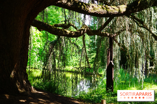 Arboretum de la Vallée-aux-Loups, une balade au milieu des arbres remarquables