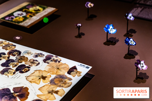 Exposition Végétal  by Chaumet aux Beaux Arts de Paris