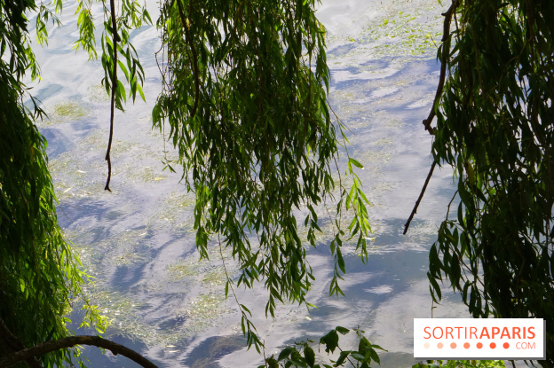 l'Île des Impressionnistes à Chatou
