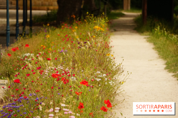 l'Île des Impressionnistes à Chatou