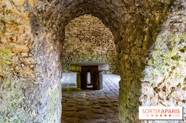 La promenade des petits ponts dans la vallée de Chevreuse -  A7C3877