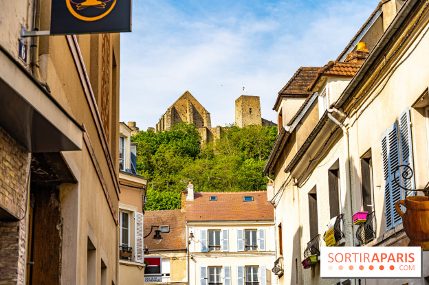 La promenade des petits ponts dans la vallée de Chevreuse -  A7C3914