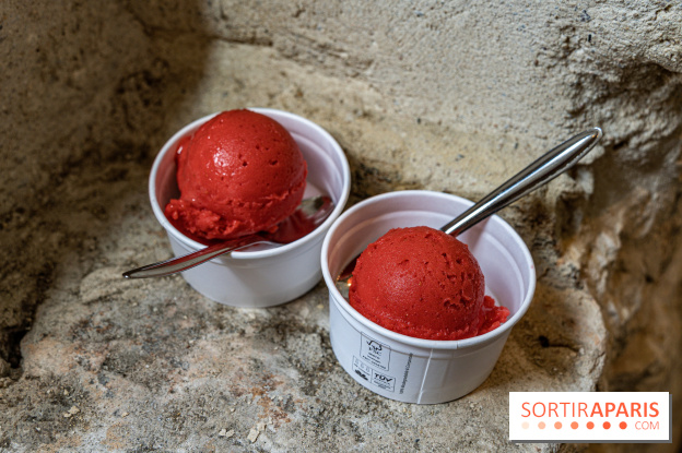 Les glaces de Jacques Génin à Paris