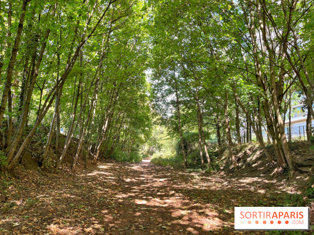 Balade sur la Petite Ceinture du 14 au 16e arrondissement : un sentier nature dépaysant