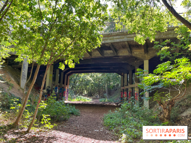 Balade sur la Petite Ceinture du 14 au 16e arrondissement : un sentier nature dépaysant