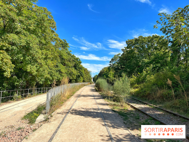 Balade sur la Petite Ceinture du 14 au 16e arrondissement : un sentier nature dépaysant