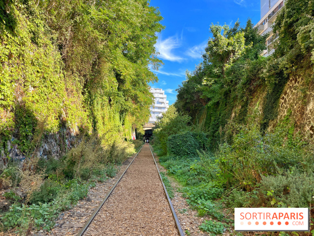 Balade sur la Petite Ceinture du 14 au 16e arrondissement : un sentier nature dépaysant