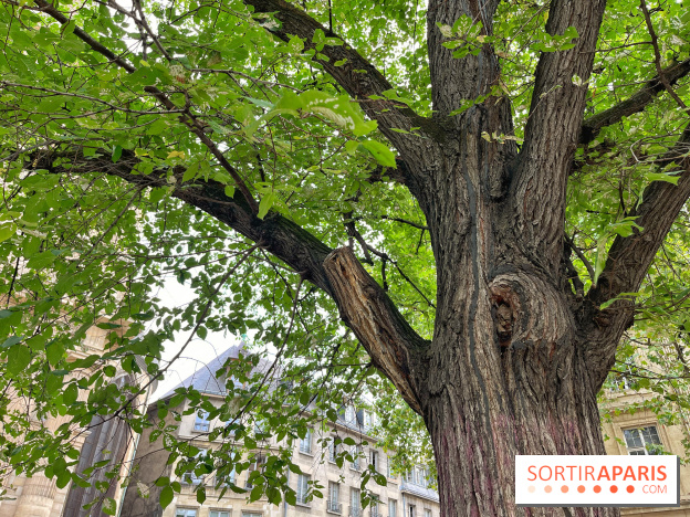 6 anecdotes ésotériques et mystérieuses autour de monuments parisiens
