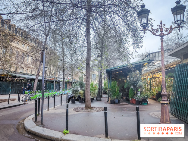 Visuels Paris - marché aux fleurs Elisabeth II