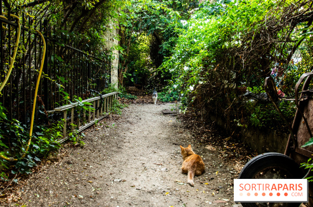 Les villages cachés du 13e arrondissement à Paris