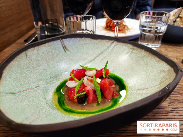 Magma à Paris, nos photos