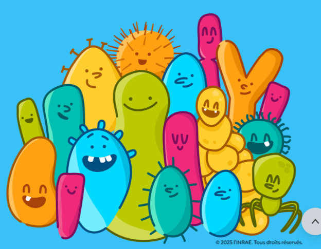 Mes microbes du ventre : une exposition ludique et gratuite pour découvrir son microbiote en famille