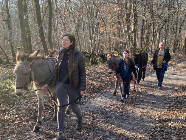 Les randonnées insolites de Fontânebleau, pour découvrir la forêt avec les ânes