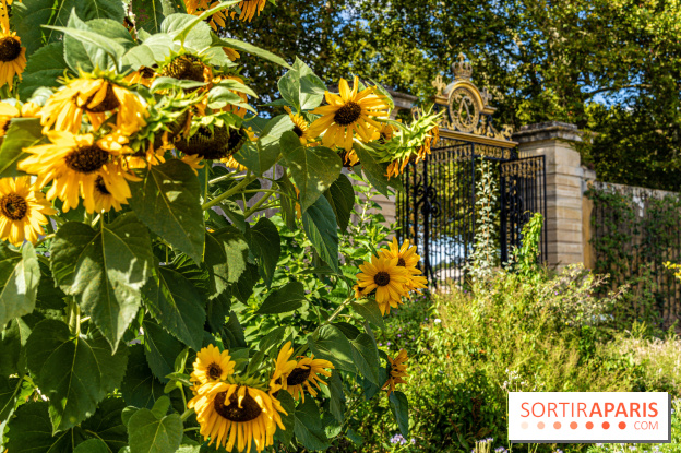 Le Potager du Roi de Versailles, Journées du Patrimoine