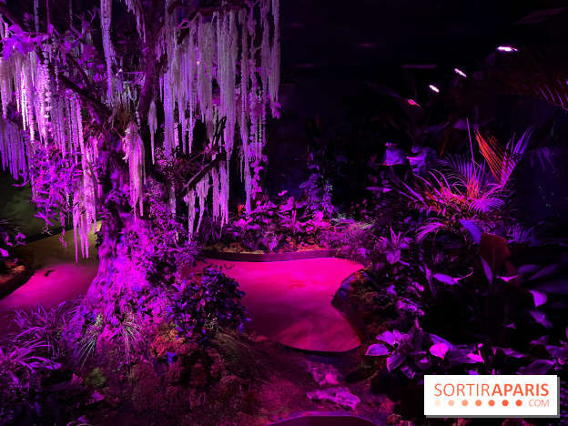 Forêt Bioluminescente - Serre Papillons