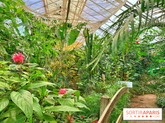 Serre Papillons - La Queue-lez-Yvelines